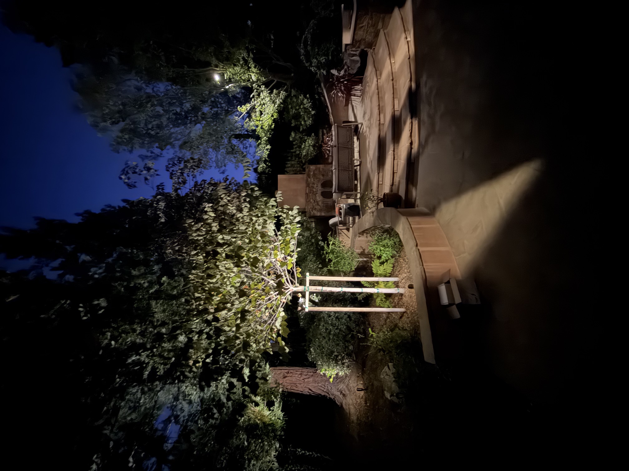 Uplit tree beside a patio seating area and outdoor fireplace
