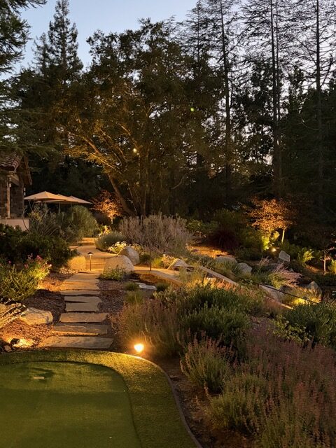 Path lights along a stone garden walkway at night